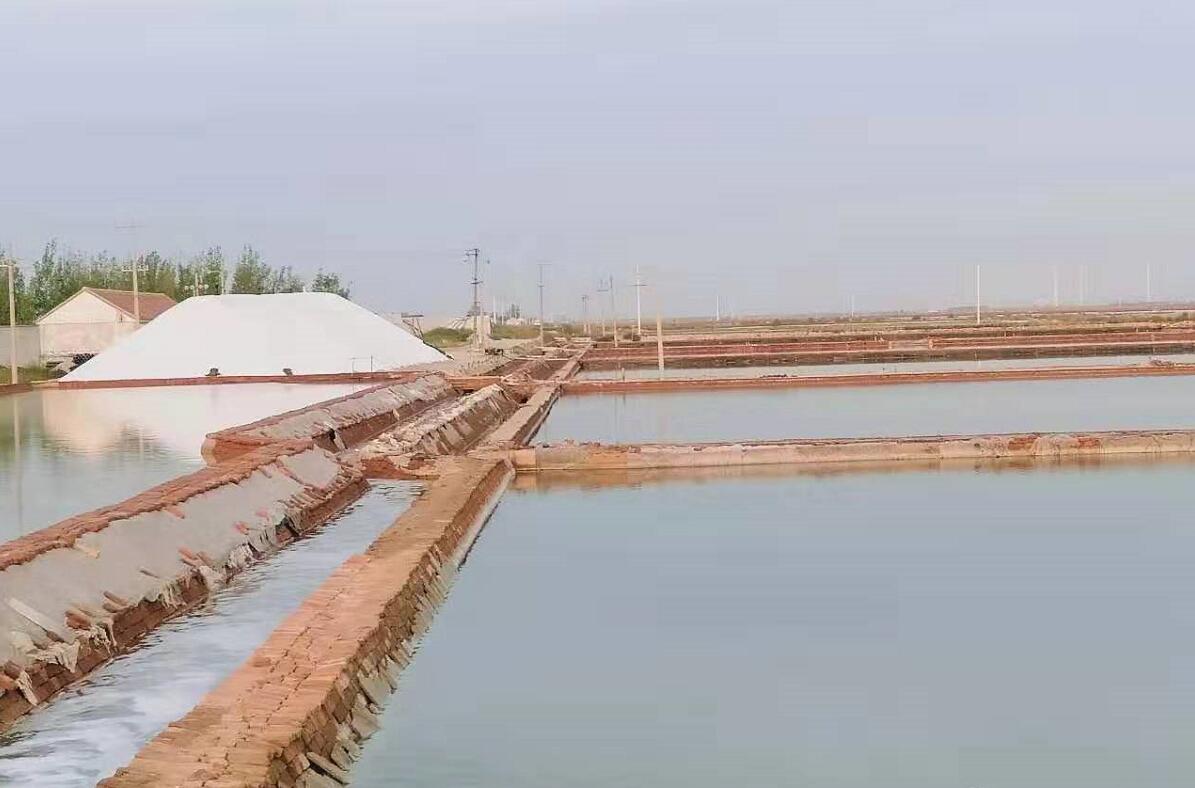 鹽為什么可以化雪？